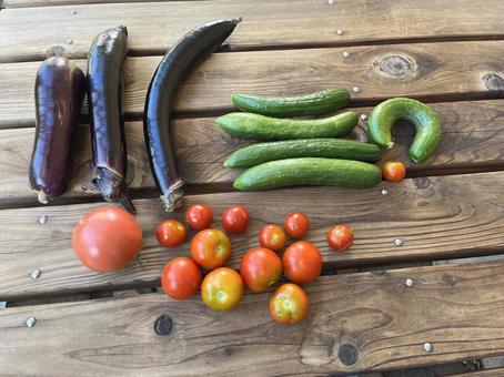 Freshly picked vegetables, JPG