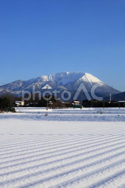 雪の大山と田園風景　１４ 畑,大山,山の写真素材