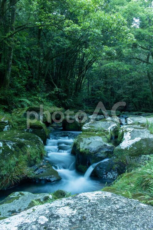 スローシャッターで撮った渓谷 水域,自然,滝の写真素材