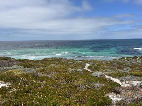 ロットネスト島 ロットネスト島の写真