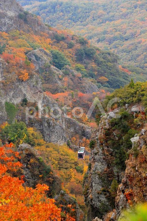 寒霞渓ロープウェイ-3 ロープウェイ,秋,風景の写真素材