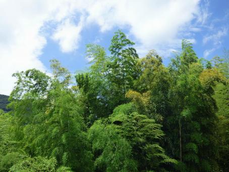照片, 天空, 自然, 風景, 