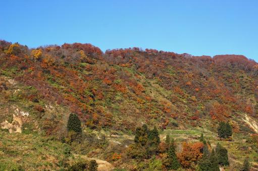 25年　山古志紅葉 綺麗,きれい,空の写真素材