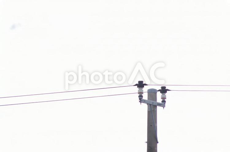 曇り空と電信柱と電線 電信柱,電線,空の写真素材