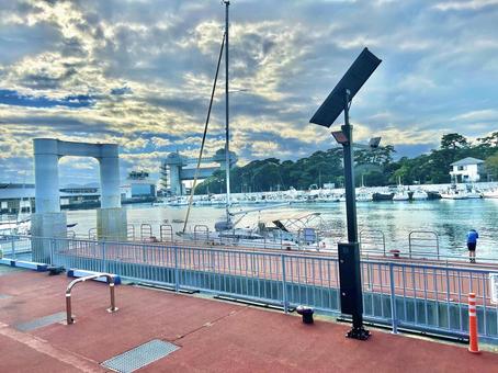 沼津港 沼津港の写真