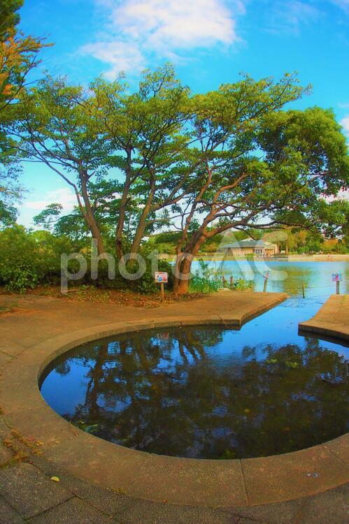 水鏡と新緑の季節 水鏡,新緑,青空の写真素材