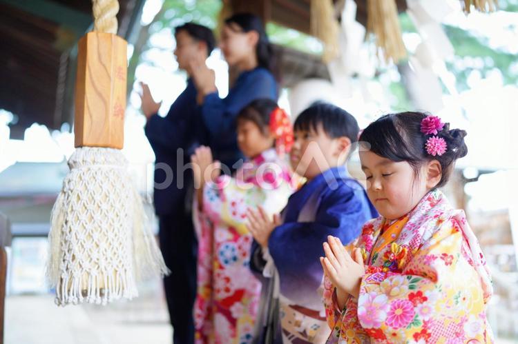 神社で家族そろってお参りする姿 七五三,お参り,七五三参りの写真素材