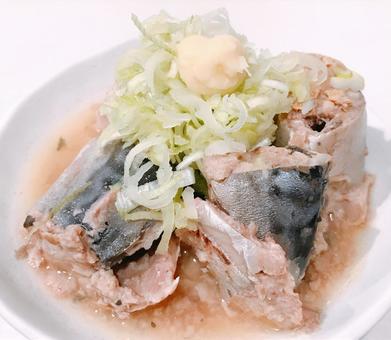 Photo, mackerel, green onion and ginger, green onion and ginger, green onion mackerel, 