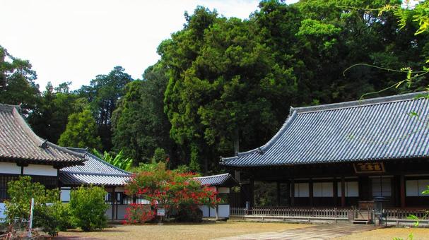 徳島県-丈六寺-境内 徳島県-丈六寺-境内の写真
