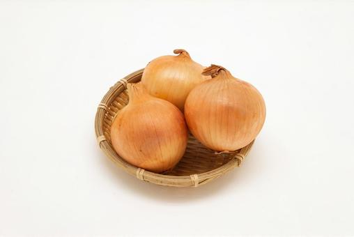 玉ねぎ_ざる盛り 玉ねぎ_ざる盛りの写真
