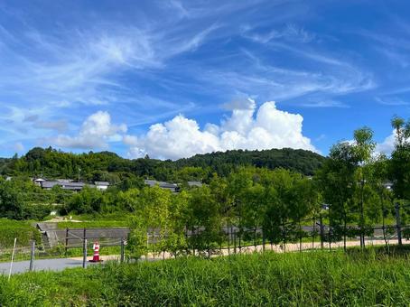 夏の風景 夏の風景の写真