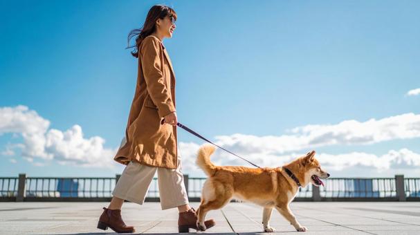 犬の散歩 女性2 犬の散歩 女性2の写真