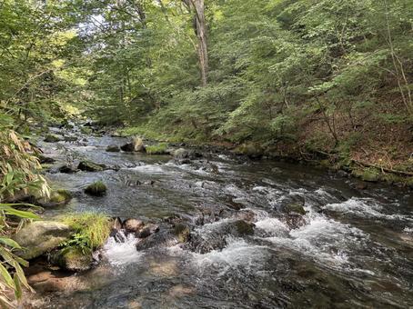 長野県軽井沢町 湯川-10 長野県軽井沢町 湯川-10 長野県,長野,信州の写真素材
