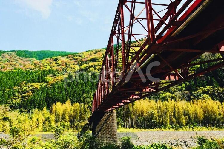 森林鉄道跡② 橋,自然,空の写真素材