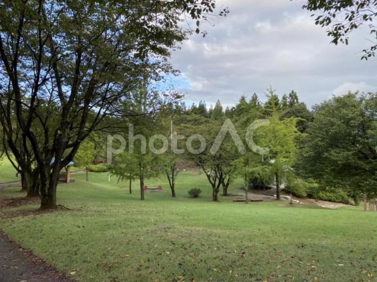 おとぎの国の公園 公園,おとぎの国,晩秋の写真素材