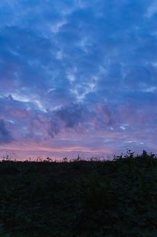 鷹の台の夜明け 朝焼け,日の出前,早朝の写真素材