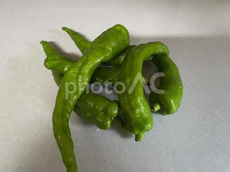 万願寺とうがらし　甘とうがらし　夏野菜 万願寺とうがらし,甘とうがらし,夏野菜の写真素材