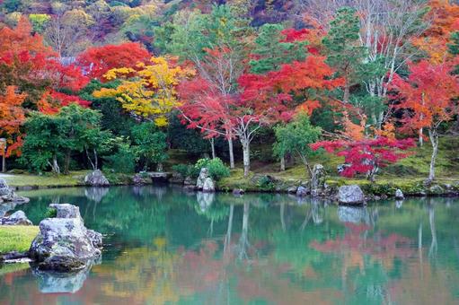 晩秋の嵐山(天龍寺) 晩秋の嵐山(天龍寺)の写真