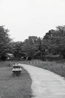 公園の小道の写真
