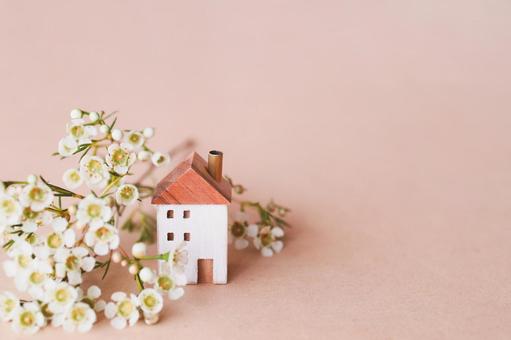 ワックスフラワーと小さな家 ワックスフラワーと小さな家 家,花,小花の写真素材
