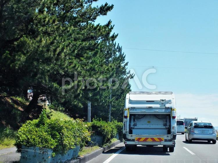 松並木とゴミ収集車 ゴミ収集車,収集,トラックの写真素材