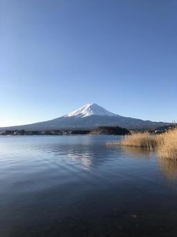 河口湖と富士山 リフレクション 河口湖と富士山 リフレクションの写真