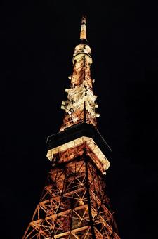 夜の東京タワー 夜の東京タワーの写真