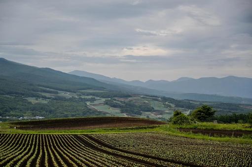 群馬県ドライブ 群馬県ドライブの写真