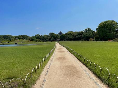 空と緑と一本道 空,緑,自然の写真素材