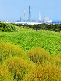 ひたち海浜公園・色づき始めたコキア&港湾 ひたち海浜公園・色づき始めたコキア&港湾の写真