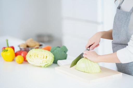 カラフルな野菜とキャベツを切る人の手の写真