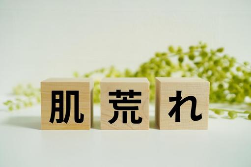 木製ブロックに『肌荒れ』の文字 木製ブロックに『肌荒れ』の文字 肌荒れ,肌,皮膚の写真素材