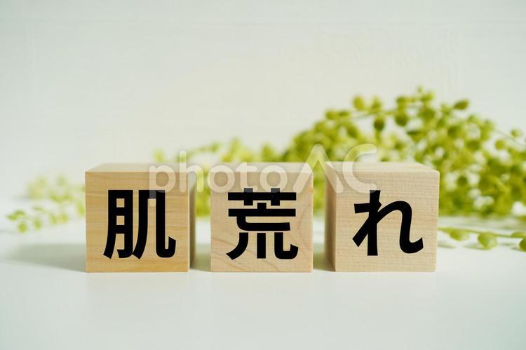木製ブロックに『肌荒れ』の文字 肌荒れ,肌,皮膚の写真素材