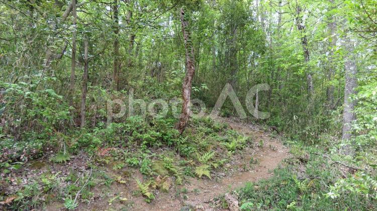 丁野山城　城跡の風景 丁野山城,小谷城の支城,浅井長政の写真素材