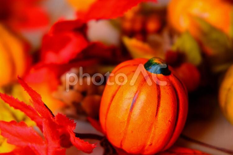 秋のイメージ素材 秋,ハロウィン,素材の写真素材