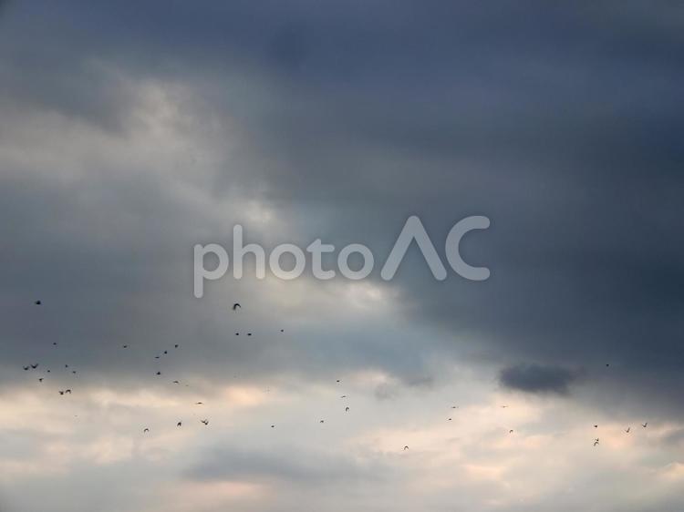 暮れ行く雨雲 雨雲,暮れる,寒空の写真素材