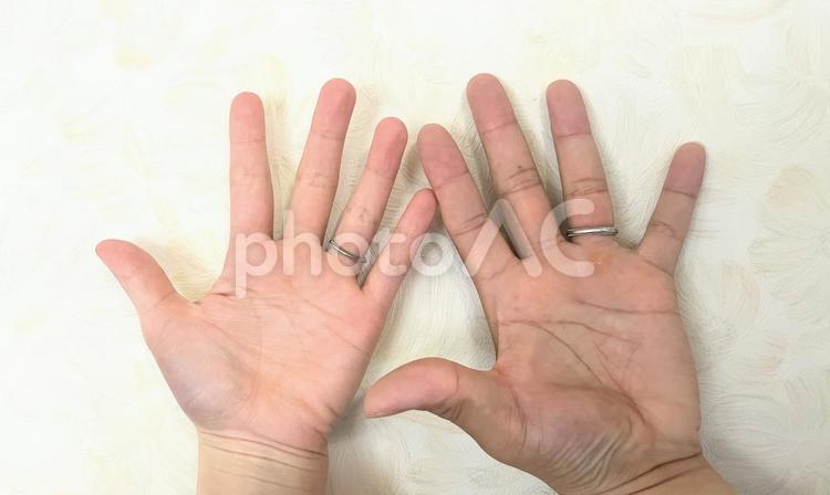男性と女性の手の平 手の平,男性,女性の写真素材