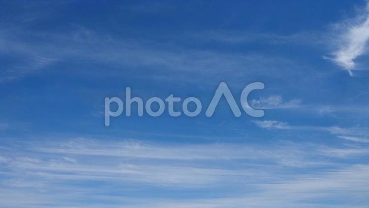 東京の初夏の空・江戸川区平井の上空 青空,晴れ,天気の写真素材