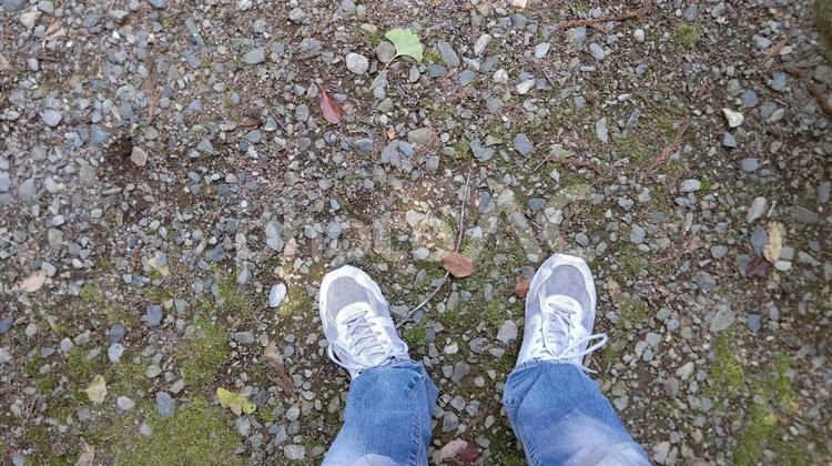 下を向くと 公園,自然,緑の写真素材