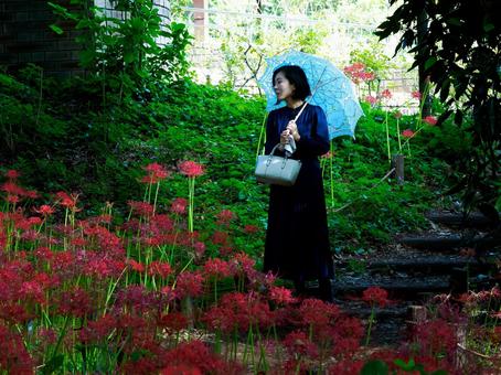 40:彼岸花を静かに眺める女性 40:彼岸花を静かに眺める女性 彼岸花,ミステリアス,悲しげの写真素材