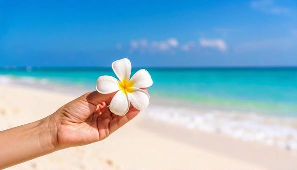 プルメリアの花を一輪持つ女性の手 プルメリアの花を一輪持つ女性の手の写真