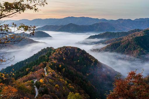 滋賀 - 【おにゅう峠の雲海】 滋賀 - 【おにゅう峠の雲海】の写真