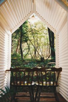 森の窓 自然,木,森林の写真素材