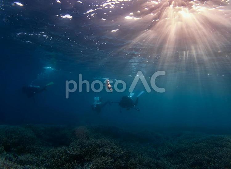 ダイバーと日差し 海,自然,濃いの写真素材