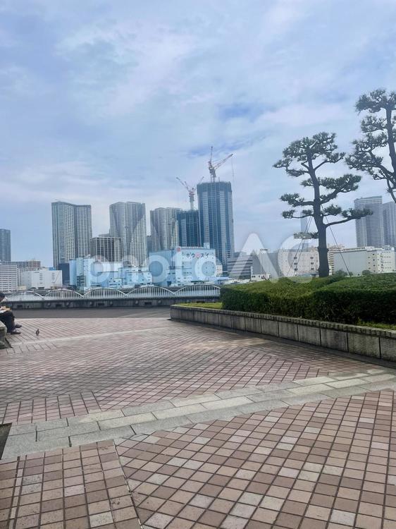 都会の公園と高層ビル群 公園,都市,都会の写真素材