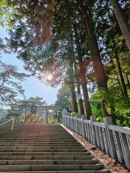 函館八幡宮へ上る石段の写真