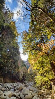 色彩豊かな峡谷の道 今治市,鈍川,山の写真素材