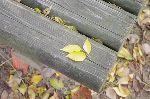 秋の公園にて1 秋の公園にて1の写真