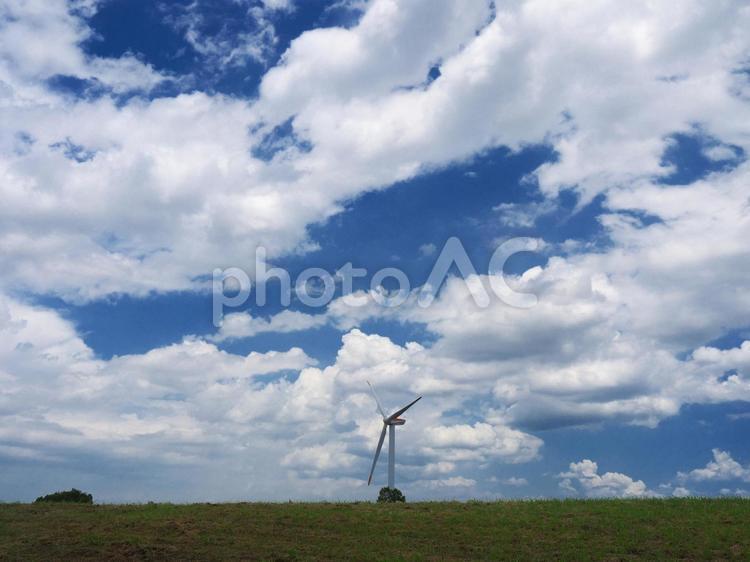 青空と風車 風車,風力,風力発電の写真素材