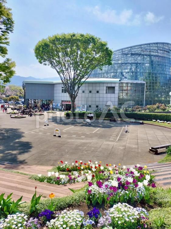 小田原フラワーガーデンのアルカディア広場 小田原フラワーガーデン,アルカディア広場,公園の写真素材